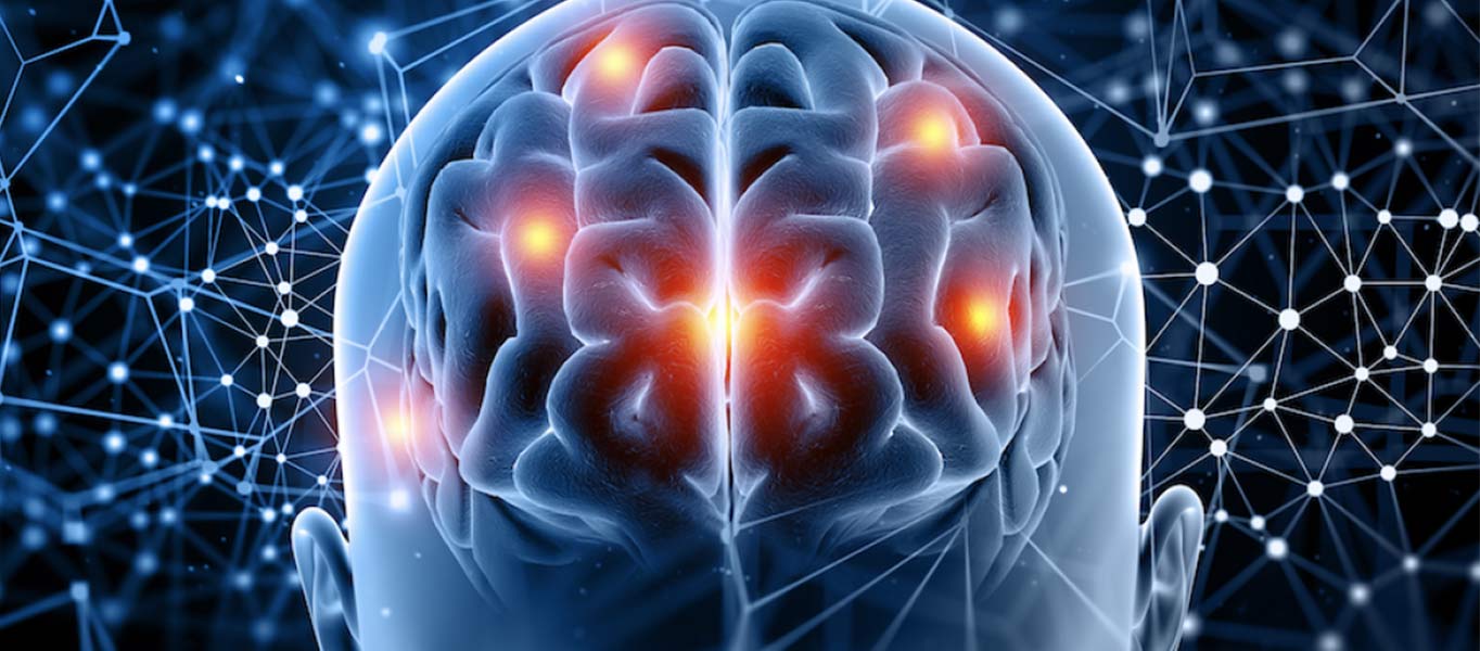 endocannabinoidensysteem
